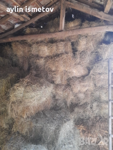 Продавам бали сено, снимка 2 - Други услуги - 52934841