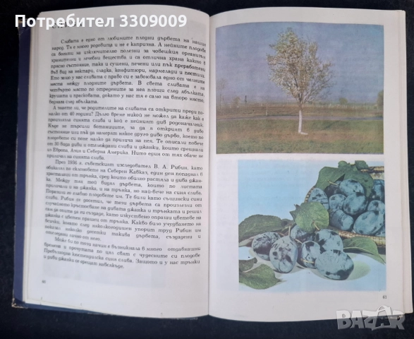 Албум за растения u Животни, снимка 3 - Българска литература - 51793976