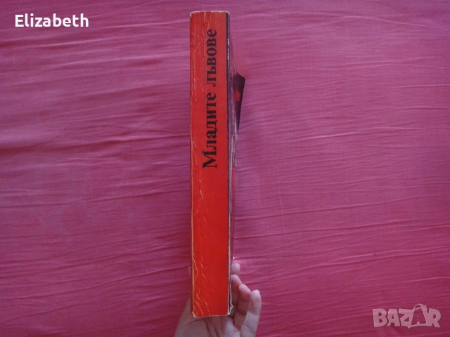 Младите лъвове - Ъруин Шоу, снимка 3 - Художествена литература - 52496743