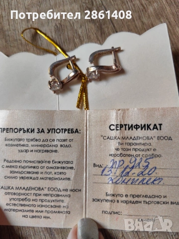 Сребърни обеци 