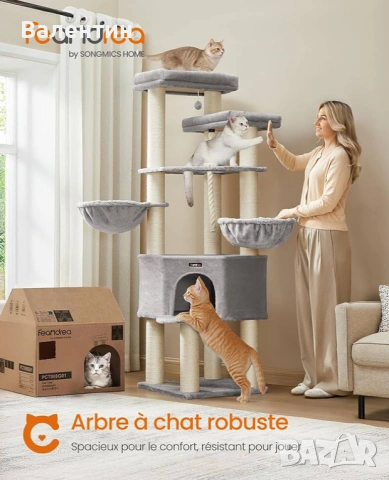 Голямо котешко дърво Мейн Куун , снимка 4 - За котки - 53222408