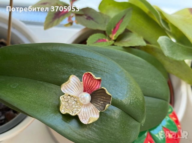 Различни видове брошки, снимка 3 - Колиета, медальони, синджири - 52172914