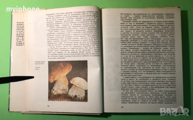 Стара Книга Атлас по Ботаника/Сл.Петров,Е.Паламарев, снимка 4 - Специализирана литература - 49204492