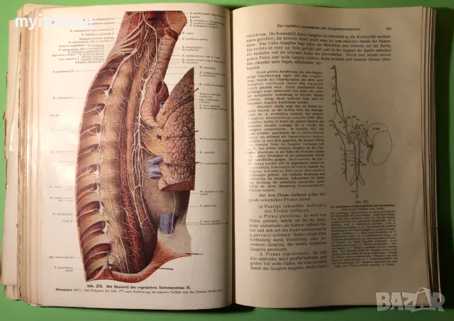 Стара Книга Анатомия ма Човека /Rauber Kopsch, снимка 11 - Специализирана литература - 49218517