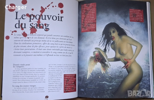 Комикс - Вампирска енциклопедия, снимка 6 - Списания и комикси - 52405349