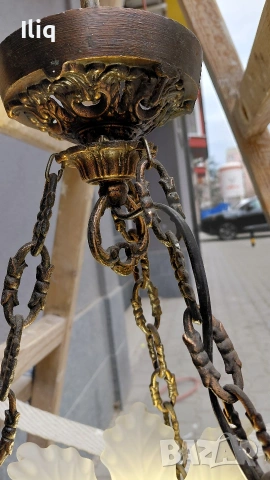 полилей два броя на цената на един. , снимка 8 - Други - 53725707