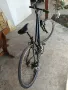 велосипеди Винора Доминго ,Симплон дамски рамки, снимка 7