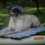 Охлаждащо одеяло за пътуване на домашни любимци DOBAR, снимка 1 - За кучета - 45118360