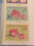 Пощенски марки серия ЦВЕТЯ от соца редки за КОЛЕКЦИОНЕРИ 45788, снимка 8