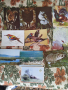 пощенски картички , снимка 6