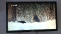 PHILIPS 22"FullHD 12V/220V LED TV, снимка 1