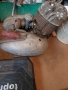 Двигател за Балкан 250, снимка 1
