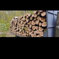  Отоплете своя дом с най-качествените дърва за огрев, гарантирайки ви уют и топлина през студените д, снимка 4 - Дърва за огрев - 45573105