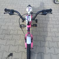 PASSATI Алуминиев велосипед 20” GUARDIAN розов, снимка 9 - Велосипеди - 45489894
