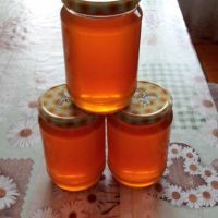 Био мед от подножието на планина Беласица, снимка 1 - Пчелни продукти - 45687736