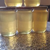 пчелен мед от акация , снимка 5 - Пчелни продукти - 45653212