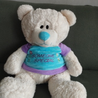 Плюшен мечок, снимка 1 - Плюшени играчки - 45060263