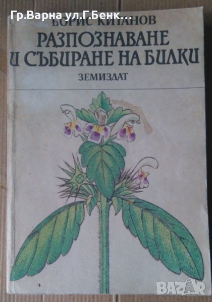 Разпознаване и събиране на билки  Борис Китанов, снимка 1