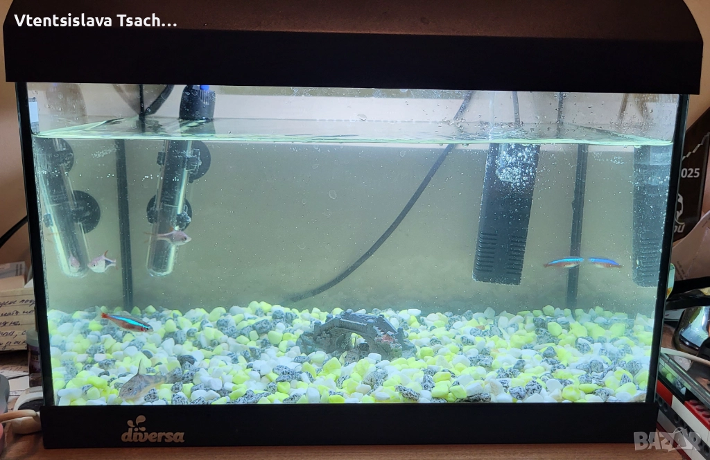 Аквариум за рибки с аератор, лампа, термометър, снимка 1