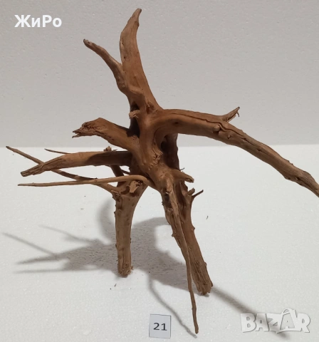 Корен от Азалия /декорация/ 21