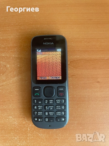 Nokia 100