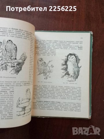 Полска практика по зоология, снимка 7 - Специализирана литература - 50453504