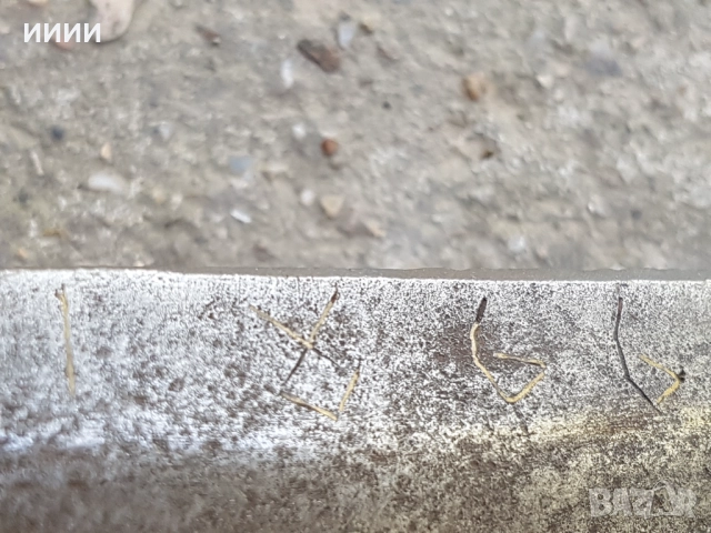 Абаджийска ножица 1866г със златни набивки , снимка 5 - Антикварни и старинни предмети - 52215674