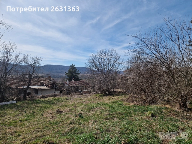 Имот Леденик, снимка 6 - Парцели - 54007082