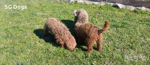 продавам лагото, снимка 11 - Други - 53779021