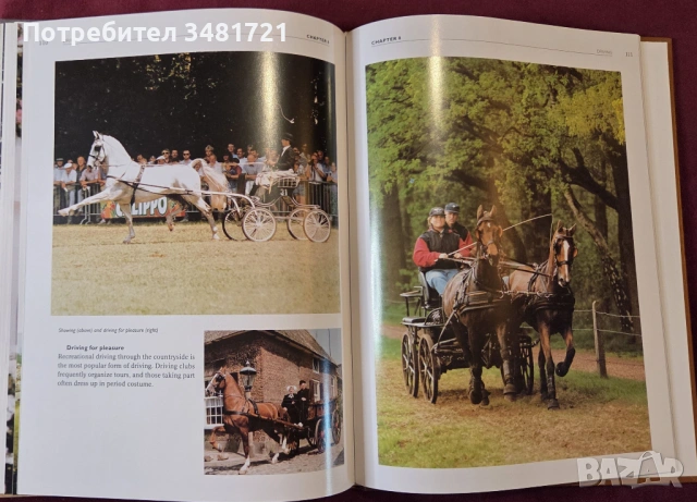 Конете и конните спортове / The Horse and Equestrian Sport, снимка 11 - Енциклопедии, справочници - 53748615