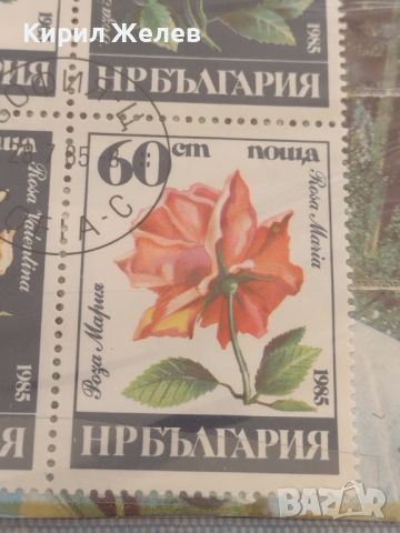 Пощенски марки серия ЦВЕТЯ от соца редки за КОЛЕКЦИОНЕРИ 45788, снимка 5 - Филателия - 46288162