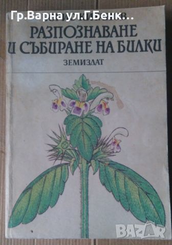 Разпознаване и събиране на билки  Борис Китанов, снимка 1 - Специализирана литература - 45673399