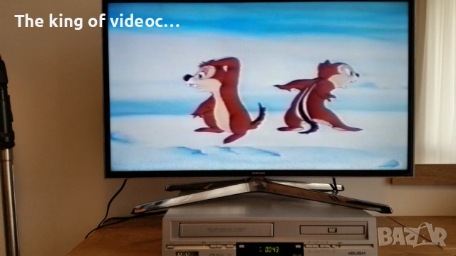 VHS Видеокасета с най-известните анимации :Гуфи , Доналд,  Чип и Дел и други VHS, снимка 5 - Анимации - 53173763