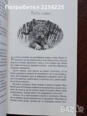 "Вълчият брат ", снимка 2 - Художествена литература - 50207583