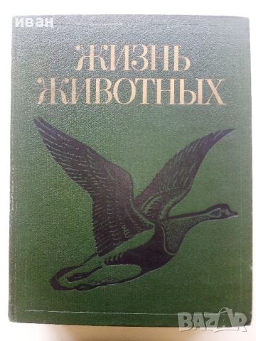 Енциклопедия "Жизнь животных" в седем тома, снимка 10 - Енциклопедии, справочници - 45322603