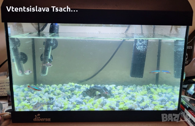 Аквариум за рибки с аератор, лампа, термометър