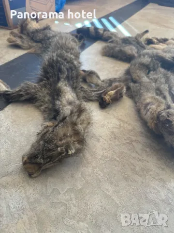 естествена кожа с косъм , снимка 15 - Други стоки за дома - 50078309