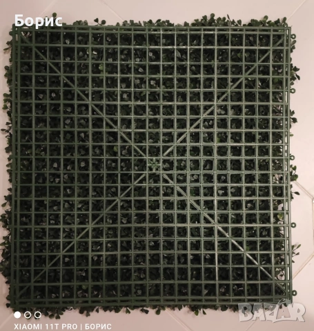 Зелено пано 50x50 см. Чемшир., снимка 4 - Пана - 53053082