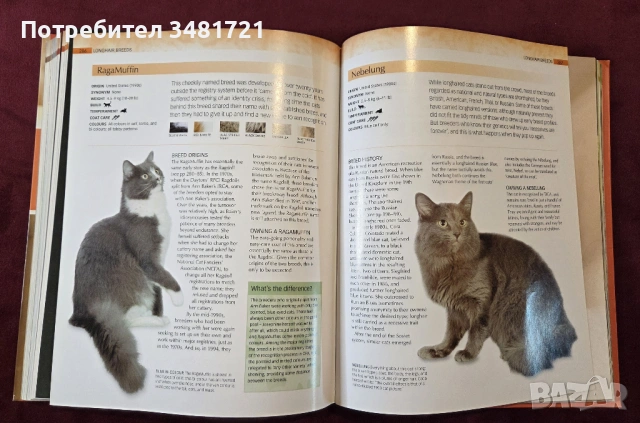 Енциклопедия на котките / Encyclopedia of Cats, снимка 11 - Енциклопедии, справочници - 53748636