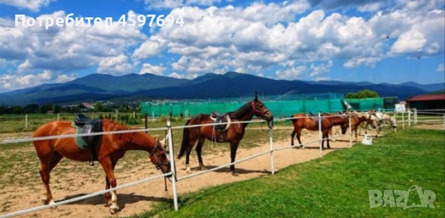 Продава се Парцел в гр Велинград, снимка 10 - Парцели - 51749314