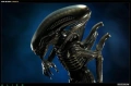 Sideshow Alien фигура статуя колекции , снимка 6