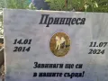 Надгробни плочи за домашни любимци , снимка 4