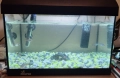 Аквариум за рибки с аератор, лампа, термометър, снимка 1