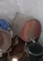 Дамаджани, бидони за ракия/вино, снимка 5