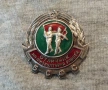 Знак Отличник на физкултурна работа на БСФС. емайл., снимка 1