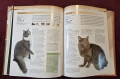 Енциклопедия на котките / Encyclopedia of Cats, снимка 11