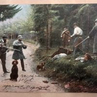 Стара цветна картичка 1906 г - лов , ловци , кучета , хралупа, снимка 1 - Филателия - 45695311