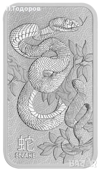 1 oz Сребърно кюлче "Змия" 2025 - Пъртминт, снимка 1