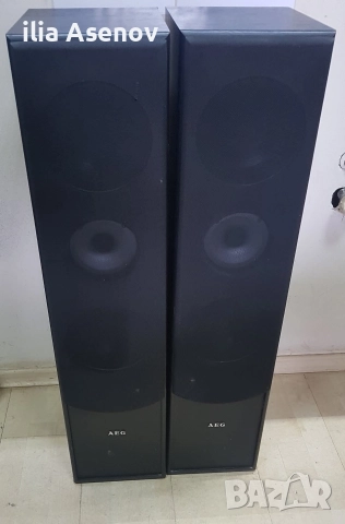 AEG Z500 – Перфектни тонколони, всичко работи, снимка 2 - Тонколони - 52940648
