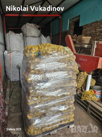 Картофи Сорая за консумация , снимка 7 - Домашни продукти - 52511378